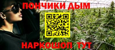 СК Камень-на-Оби