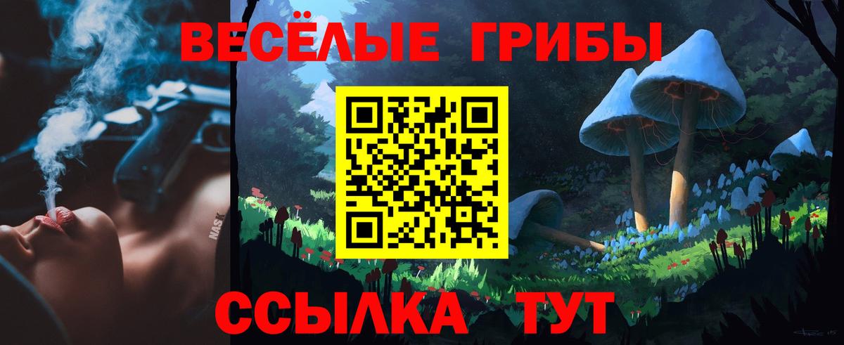 Галлюциногенные грибы прущие грибы  Галлюциногенные грибы Cubensis  Выборг  Вход с VPN 