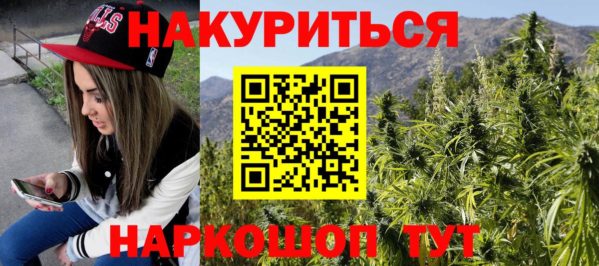 Каннабис SATIVA & INDICA Выборг